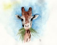 giraffe mit gras